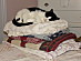 View full size picture