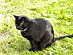 View full size picture