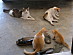View full size picture