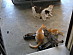 View full size picture