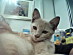 View full size picture