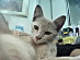 View full size picture
