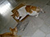 View full size picture
