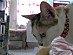 View full size picture