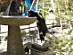 View full size picture