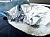 View full size picture