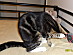 View full size picture