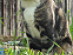View full size picture