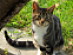 View full size picture
