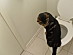 View full size picture