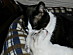 View full size picture
