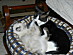 View full size picture