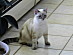 View full size picture