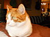 View full size picture