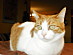 View full size picture