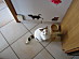 View full size picture