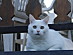 View full size picture