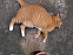 View full size picture