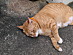 View full size picture