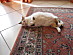 View full size picture