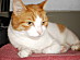 View full size picture