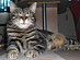 View full size picture