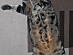 View full size picture