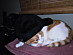 View full size picture