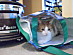View full size picture