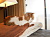 View full size picture