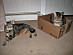 View full size picture