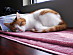 View full size picture