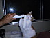 View full size picture