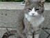 View full size picture