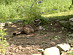 View full size picture