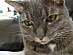 View full size picture
