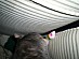 View full size picture