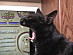 View full size picture