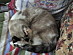 View full size picture