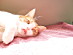 View full size picture