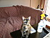 View full size picture