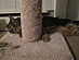 View full size picture