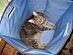 View full size picture