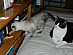 View full size picture