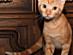 View full size picture