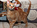 View full size picture