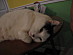 View full size picture