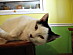 View full size picture