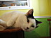 View full size picture