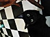 View full size picture